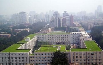 城市屋顶绿化